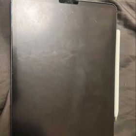 Apple iPad Pro 11インチ 第2世代 本体
