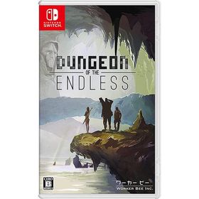 【新品】Switch ダンジョン オブ ジ エンドレス(Dungeon of the ENDLESS)