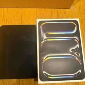 iPad Pro 11インチ M4 256GB A2836