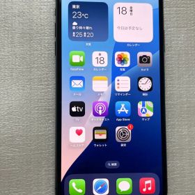 Apple SIMフリー iPhone XS Max 64GB スペースグレイ
