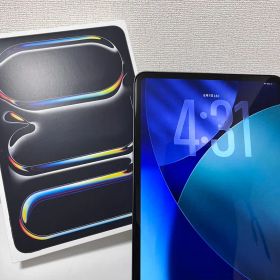 【美品】Apple iPad Pro 11インチ 第5世代 M5 256GB