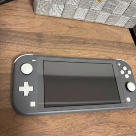 Nintendo Switch Lite 本体 グレー