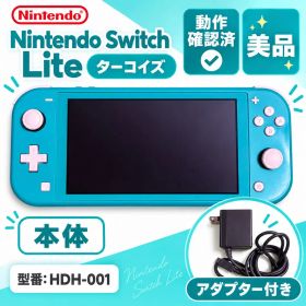 Nintendo Switch Lite 本体 ターコイズ 動作確認済 アダプタ