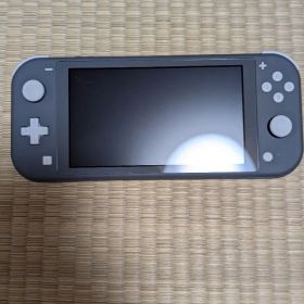 Nintendo Switch Lite 本体 グレー
