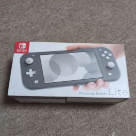 Nintendo Switch Lite グレー 通電不可 完全ジャンク