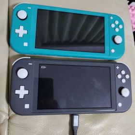 Nintendo Switch Lite 本体 2台セット