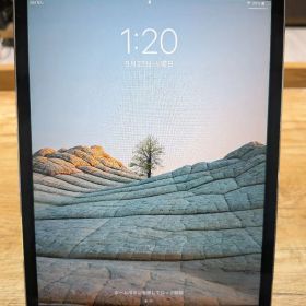 Apple iPadmini 4 本体