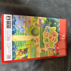 Nintendo Switch2 ぽこ あ ポケモン