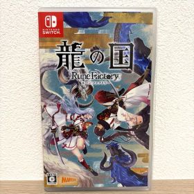 動作確認済み 美品✨ Nintendo Switch 龍の国 ルーンファクトリー
