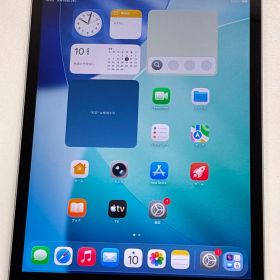 Apple iPad 第9世代 64GB Wi-Fi+Cellular MK493J/A シルバー 動作品