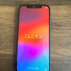 Apple iPhone 12 本体