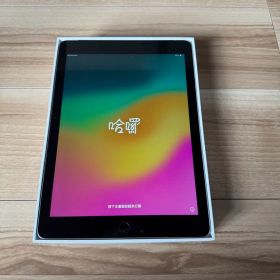 Apple iPad 本体 6世代