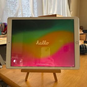 iPad Pro 12.9インチ 第2世代 本体 64GB