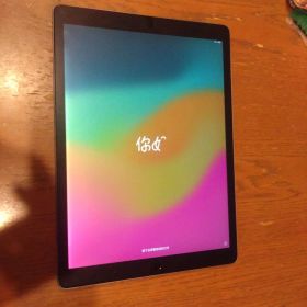 Apple iPad Pro 12.9インチ第2世代 64GB
