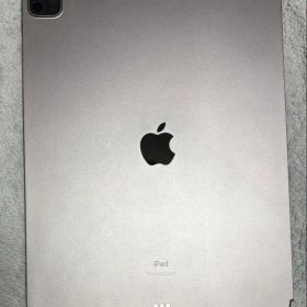 美品 iPad Pro 12.9 第5世代 Cellular 256GB M1