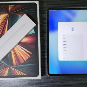 【美品 バッテリー良】iPad Pro 12.9 第5世代 256G 純正ペン他