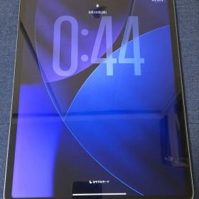 Apple iPad Pro (第6世代) 256GB