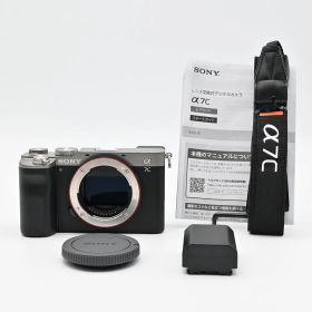 SONY α7C ボディ シルバー ILCE-7C ショット数 10604回