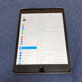 iPad mini 4 128GB Wi-Fi+Cel A1550 初期化済