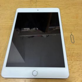 iPad mini 4 （SIMピン付き、本体）