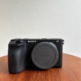 【シャッタ1893回/レンズ付】SONY α6600