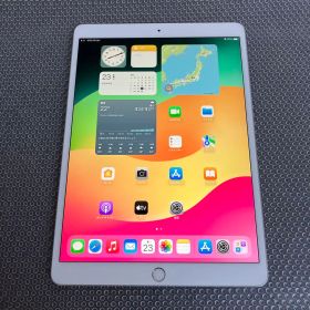 1590 外観美品☆電池最良好☆iPadPro64GB10.5インチSIMフリー