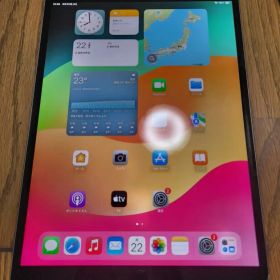 iPadPro 10.5インチ 256GB Wi-Fi Cellular 訳あり