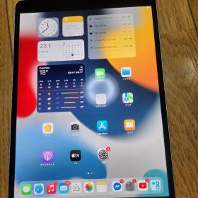 iPad Pro 10.5インチ 256GB Wi-Fi Cellular