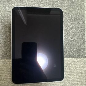 ［美品］Apple iPad mini 本体 第7世代 256GB