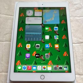 Apple iPad 6th generation バッテリー84%