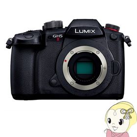 Panasonic パナソニック LUMIX Gシリーズ ミラーレス 一眼カメラ DC-GH5M2 ボディ