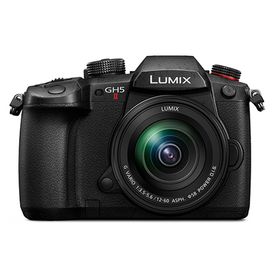 【送料無料】パナソニック ミラーレス一眼カメラ ルミックス LUMIX Gシリーズ DC-GH5M2M 標準ズームレンズキット ブラック