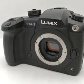 【中古】Panasonic LUMIX GH5 ボディ DC-GH5-K ブラック【新宿2】保証期間１ヶ月【ランクB】
