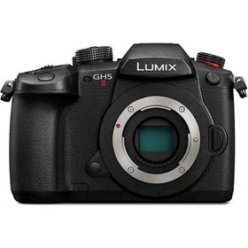 Panasonic ミラーレス一眼カメラ ルミックス レンズキット 標準ズームレンズ付属 ブラック DC-GH5M2M