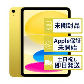 iPad 11インチ (A16) 2025 新品 64,000円 | ネット最安値の価格比較