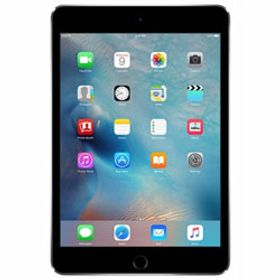 〔中古品（難あり）〕 iPad mini 4 64GB スペースグレイ NK722J／A SIMフリー ［7.9インチ液晶／Apple-A8］〔中古品（難あり）〕 iPad mini 4 64GB スペースグレイ NK722J／A SIMフリー ［7.9インチ液晶／Apple-A8］