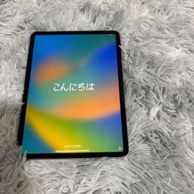 iPad Pro 11 訳あり・ジャンク 22,222円 | ネット最安値の価格比較