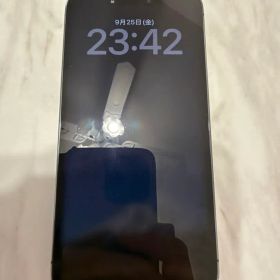 Apple iPhone 14 Pro 256GB 本体