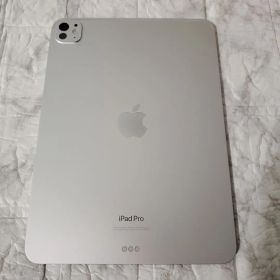 iPad Pro 11インチ (M4) 2024 新品 139,000円 中古 125,000円 | ネット