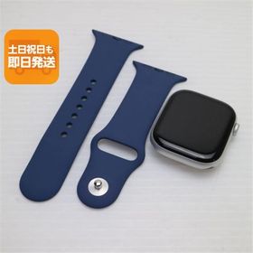 美品 Apple Watch Series 10 46mm Cellular セルラー シルバー Watch APPLE 即日発送 あすつく 土日祝発送OK