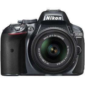 Nikon D5300 レンズキット グレー 良品 動作確認済み 1ヶ月保証付 初心者向け