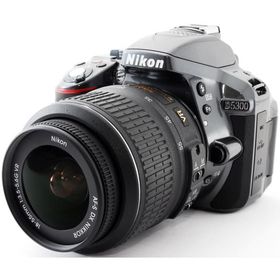 デジタル一眼 ニコン Nikon ニコン D5300 レンズキット グレー 中古 Wi-Fi搭載 スマホに送れる すぐに使える 付属品充実 動画撮影 激レアカラー 美品 長期保証