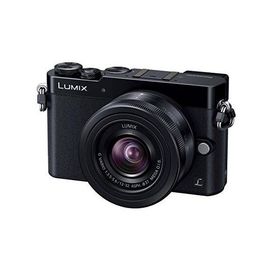 中古 １年保証 美品 Panasonic LUMIX DMC-GM5 標準ズームレンズキット ブラック