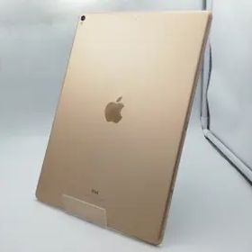 iPad Pro 12.9 256GB 第2世代 中古 19,800円 | ネット最安値の価格