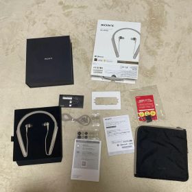 SONY WI-1000X