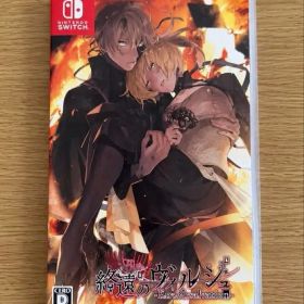 終遠のヴィルシュ ErroR：salvation Switch 新品 5,000円 中古