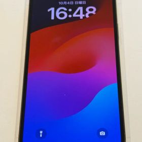 iPhone 13 Pro Max 128GB SIMフリー 動作確認済