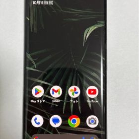 Google Pixel 6 Pro 新品 45,980円 中古 20,000円 | ネット最安値の