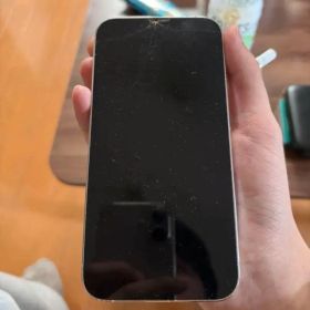 【ジャンク品】iPhone 13 Pro（海水水没・起動不可）《友人も同時水没》