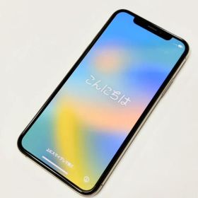 Apple iPhone Xs 64GB MTAY2J/A 本体 docomo